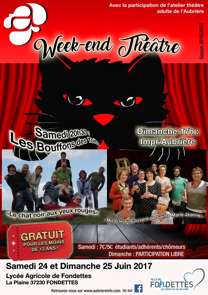 affiche théâtre finale